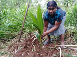 +94 76 128 1173.jpeg