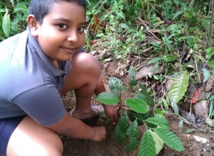 +94 76 268 8192.jpeg