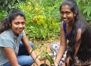 +94 76 335 5281.jpeg