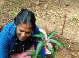 +94 77 743 8206.jpeg