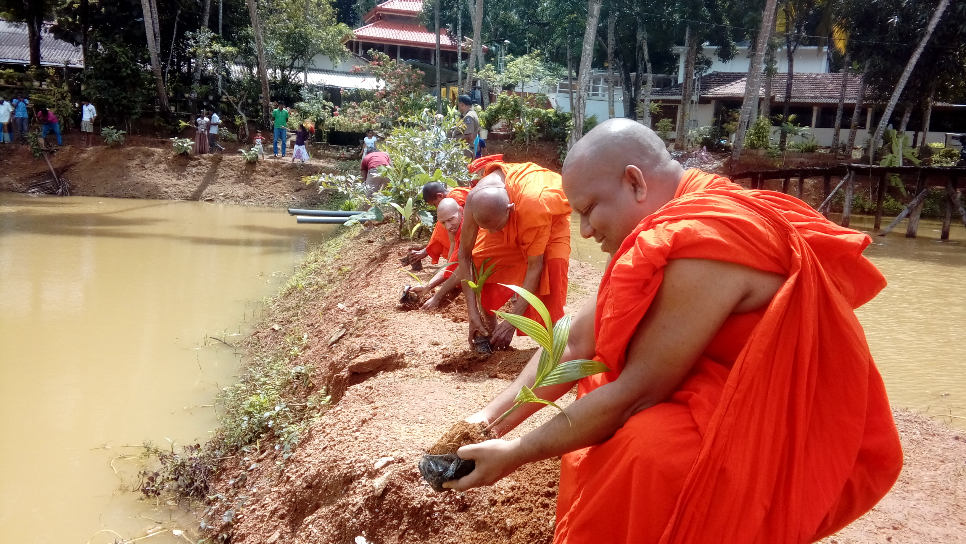 Opanayaka – Akarella Tree Planting