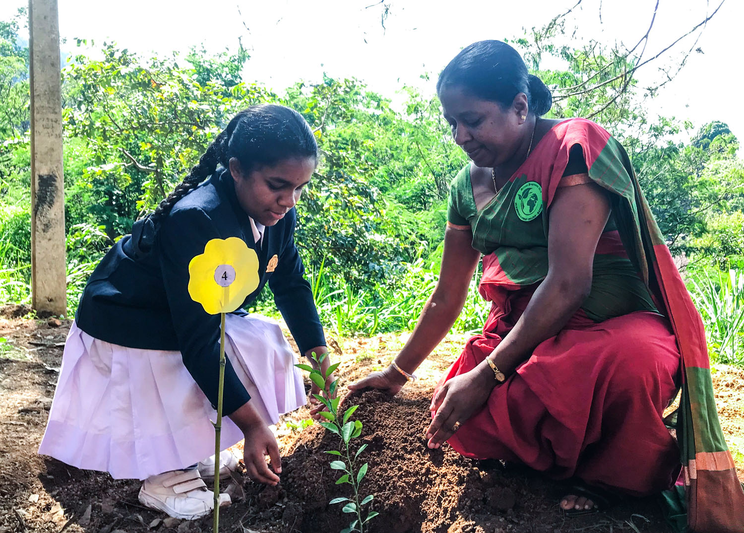 Hatton Tree Planting