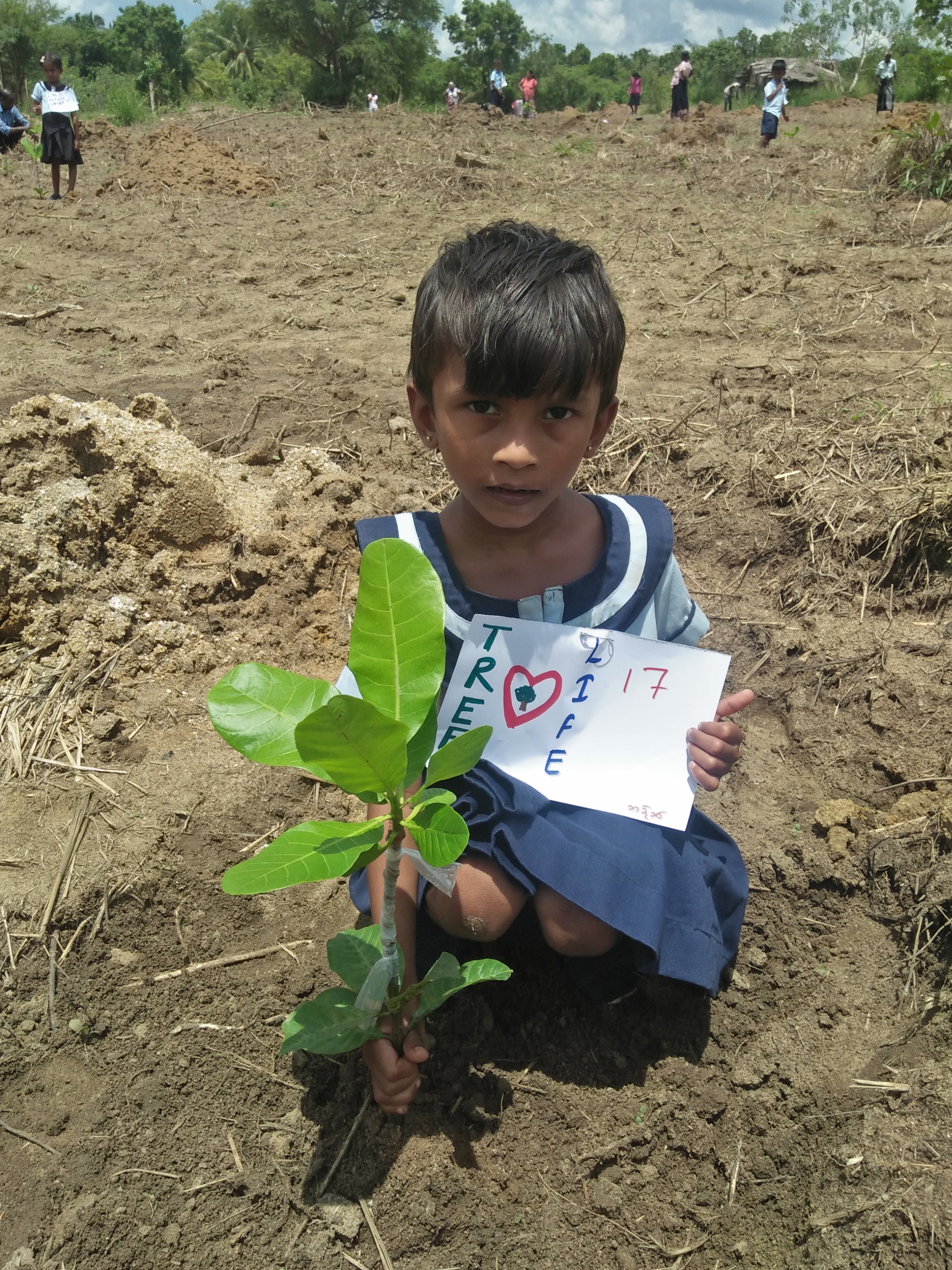 Piligama Tree planting