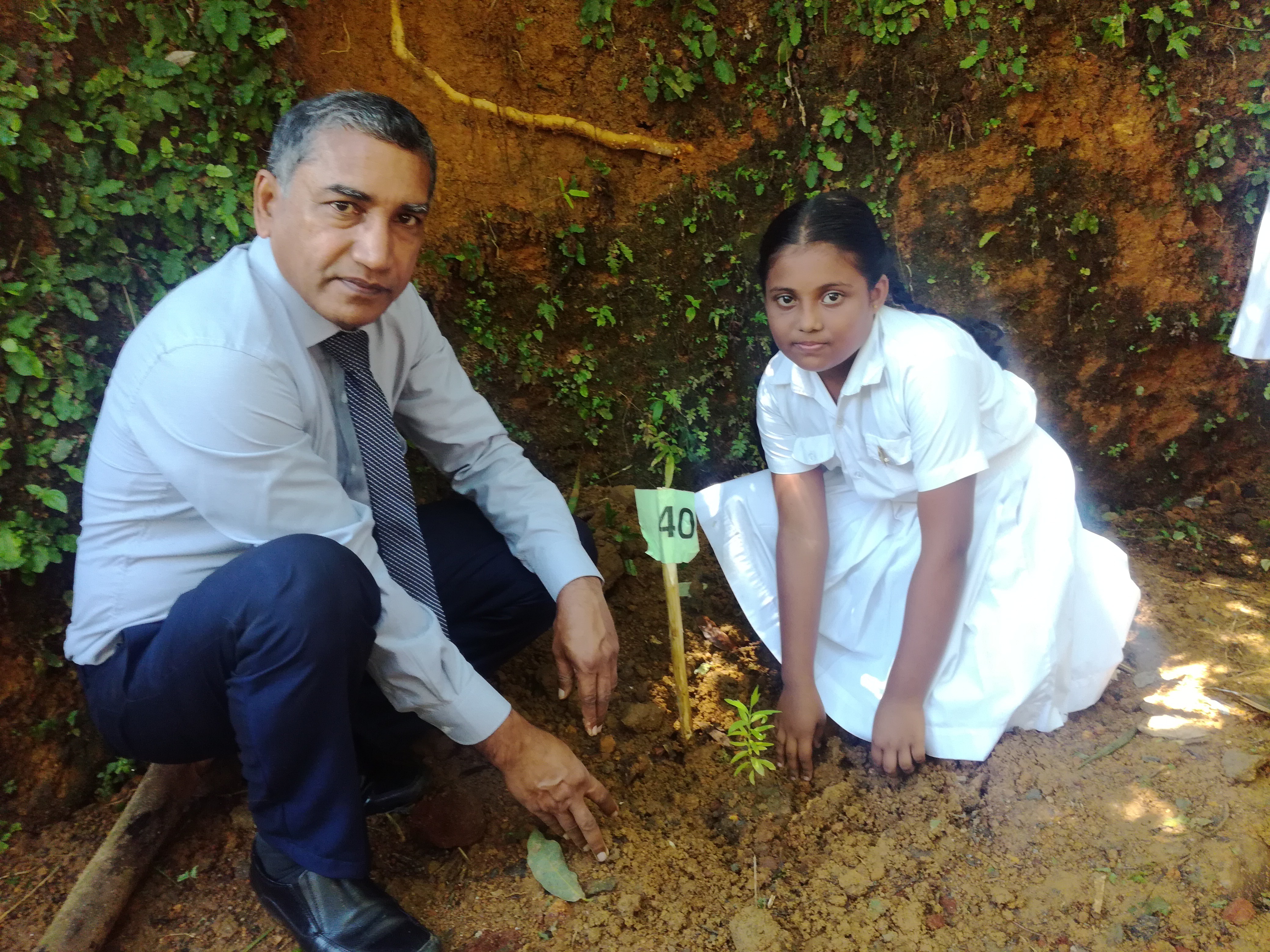 Weligepola Tree Planting